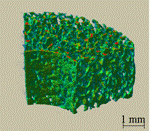 fig_3.gif