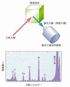 蛍光X線分析