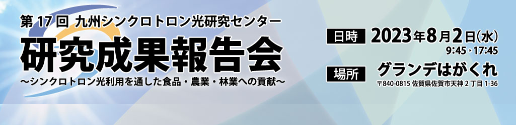 第17回研究成果報告会　画像